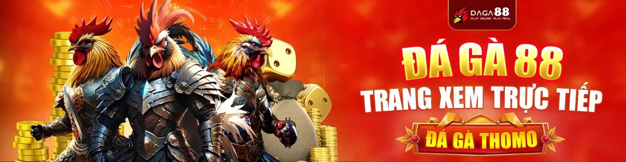 Tổng quan các trận đá gà tại icse20