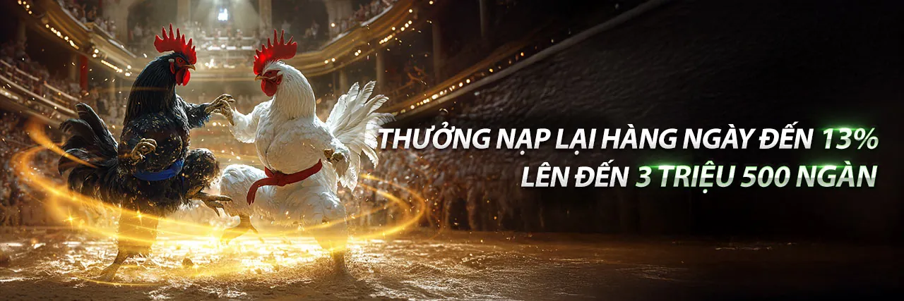 Đá gà trực tuyến icse20 2026